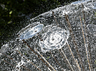 Dandelion Fountain in Victory Square in Gomel