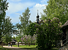 Museum of Folk Architecture and Rural Lifestyle 