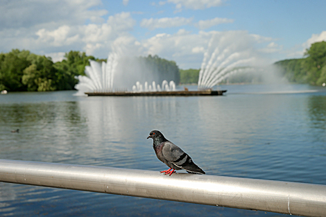 Fountain 