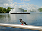 Fountain "Sail" in the Victory Park