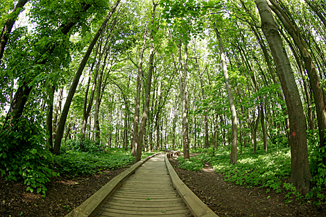 Victory Park in Minsk