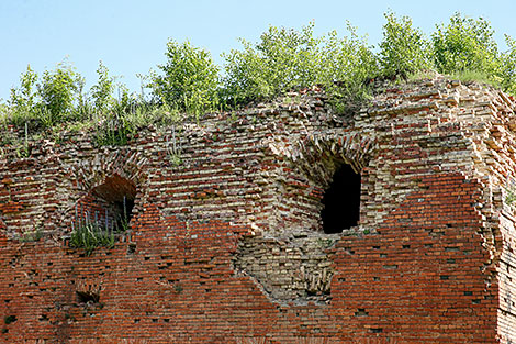 Bobruisk Fortress