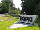 The village of Borki