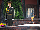 Independence Day rally in Gomel