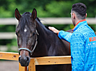 Olympic Training Center for Equestrian Sports and Horse Breeding