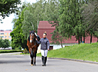 Olympic Training Center for Equestrian Sports and Horse Breeding