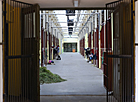 Olympic Training Center for Equestrian Sports and Horse Breeding