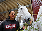 Olympic Training Center for Equestrian Sports and Horse Breeding