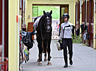 Olympic Training Center for Equestrian Sports and Horse Breeding