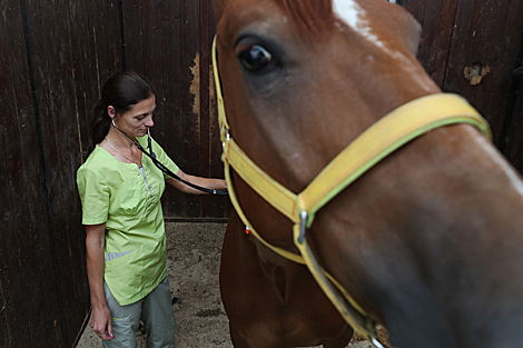 Olympic Training Center for Equestrian Sports and Horse Breeding