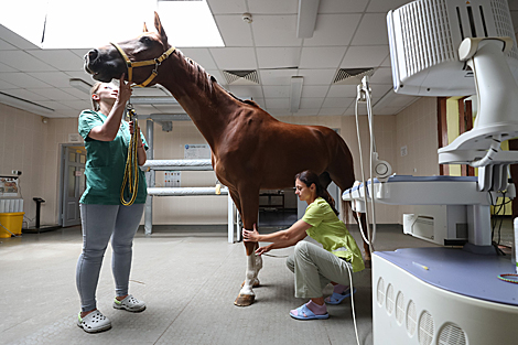 Olympic Training Center for Equestrian Sports and Horse Breeding