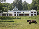 Michal Oginski Museum-Estate