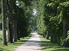 Michal Oginski Museum-Estate