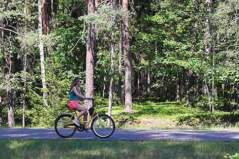 Belovezhskaya Pushcha National Park