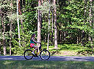 Belovezhskaya Pushcha National Park