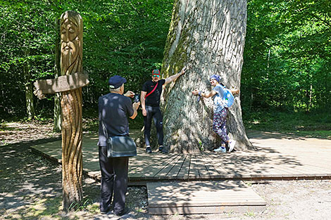 Belovezhskaya Pushcha National Park