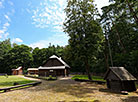 Belovezhskaya Pushcha National Park