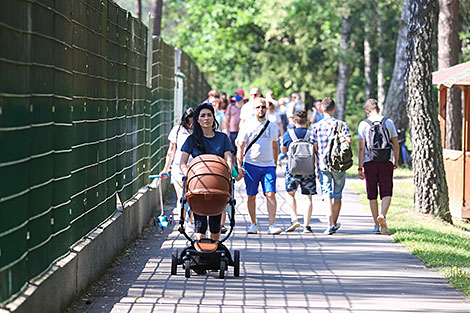 Belovezhskaya Pushcha National Park