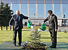 Xi Jinping planted a tree at the Alley of Honored Guests near the Independence Palace