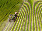 Flax harvesting in full swing in Grodno Oblast