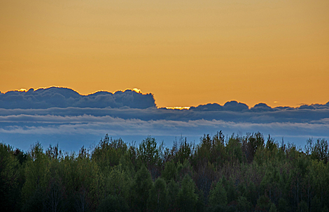 Morning in Vitebsk District