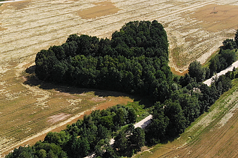 A field near Grodno