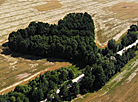 A field near Grodno