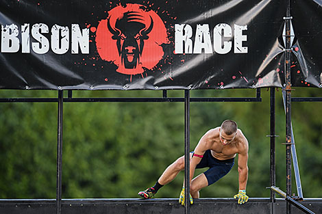 Bison Race in Logoisk District 