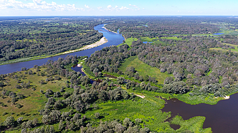 National Park Pripyatsky