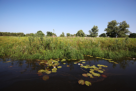 National Park Pripyatsky