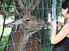 Safari Park in Pripyatsky National Park