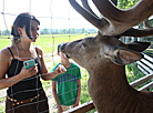 Safari Park in Pripyatsky National Park