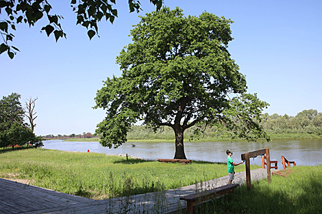 National Park Pripyatsky