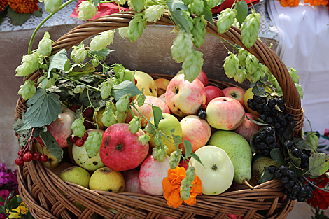 Apple Feast of the Savior in Polotsk