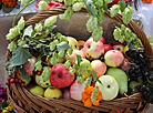 Apple Feast of the Savior in Polotsk