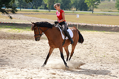 Horse festival in Bobruisk District