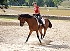 Horse festival in Bobruisk District