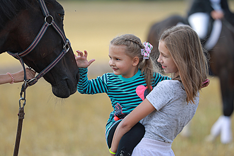 Horse festival in Bobruisk District