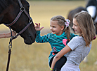 Horse festival in Bobruisk District