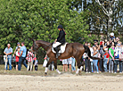 Horse festival in Bobruisk District