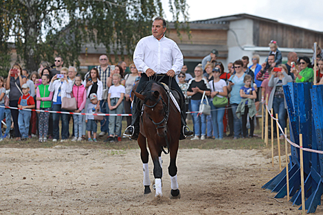 Horse festival in Bobruisk District