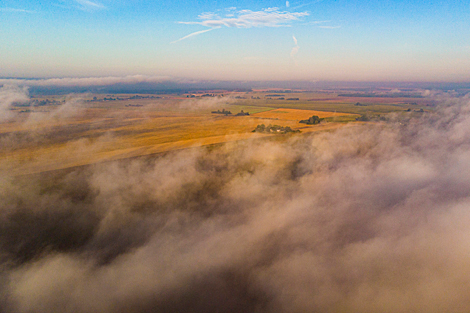 Foggy landscapes in Svisloch District 