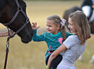 Horse festival in Bobruisk District