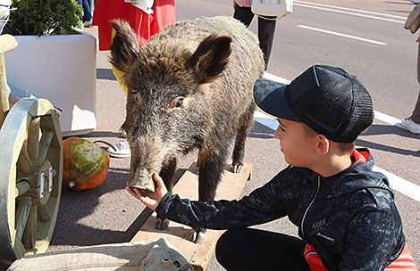 Gomel celebrates City Day