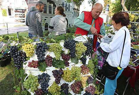 Gomel celebrates City Day