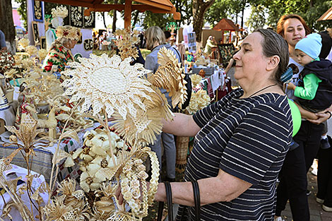 Regional Harvest Festival in Cherven