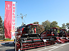 Dazhynki harvest festival in Mozyr