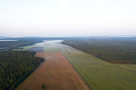 Nalibokskaya Pushcha in the autumn