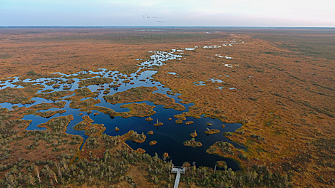 Yelnia Landscape Reserve