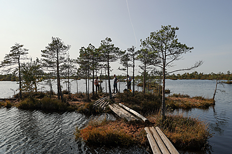 Yelnia Landscape Reserve